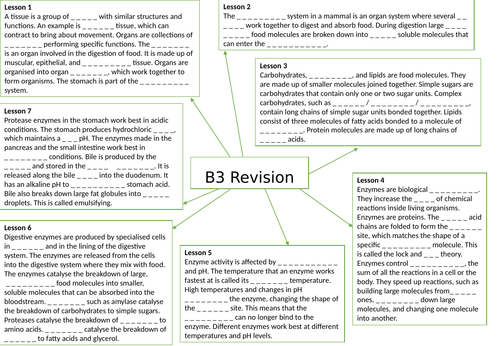 AQA GCSE Biology (9-1) B3 Organisation and the digestive system - Gap fill mind map for revision