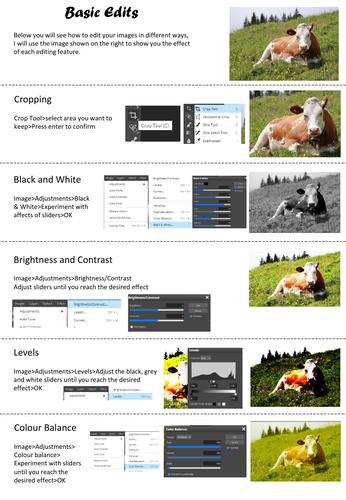 GCSE Art or Photography: Basic Photoshop Edits - How to edit a photo