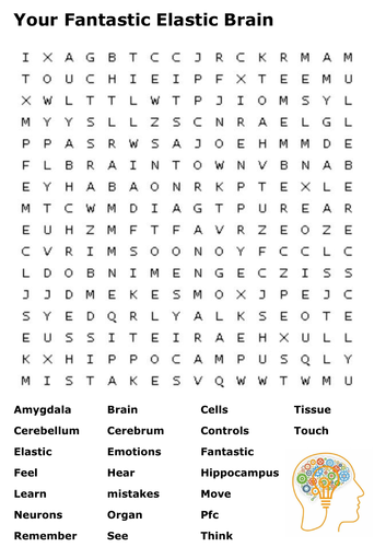 Your Fantastic Elastic Brain Word Search