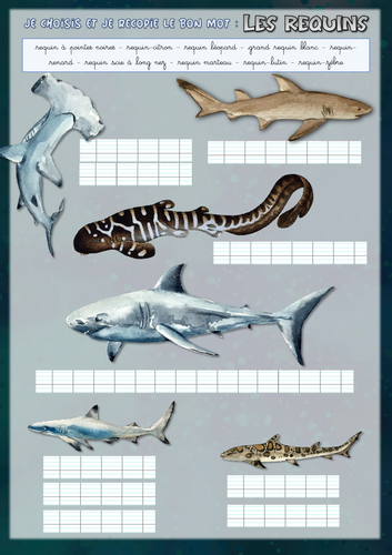 [French] Find and write the right word: Sharks (les requins)