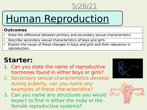 Human reproduction AQA science trilogy Biology GCSE
