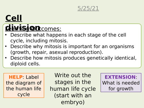 Cell division by mitosis AQA combined science trilogy GCSE Biology