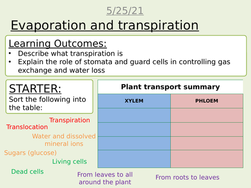 Transpiration 2 lessons AQA combined science trilogy GCSE Biology