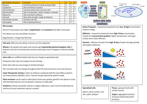Aqa Gcse Biology Paper 1 Cheatsheets Teaching Resources 2510