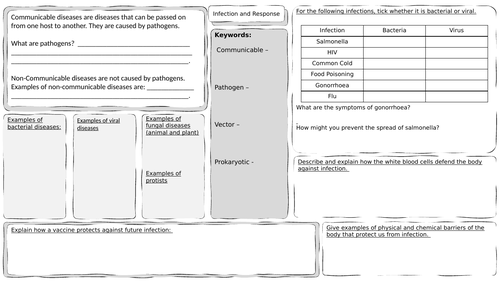 Infection and Response Revision