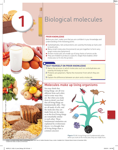 A-Level  AQA  Chapter: 1. Biological  Molecules /  2. Enzymes /  3. Cells. pdf