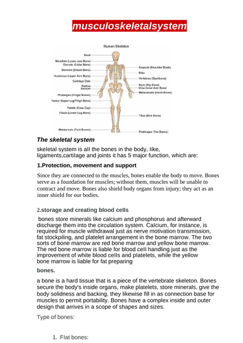 Unit 8 assignment 1 musculoskeletal system BTEC applied science