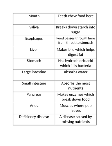 Digestion- Matching activity