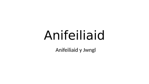 POWER POINT ANIFEILIAID Y JWNGL CYFNOD SYLFAEN CYMRAEG