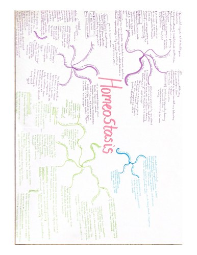 GCSE biology mindmaps- ALL topics