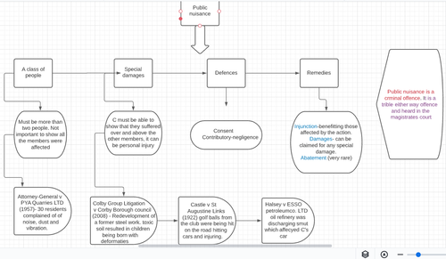 public nuisance flow chart