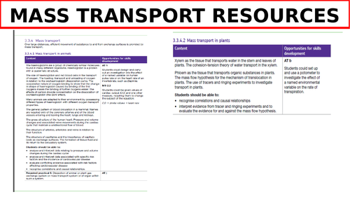 Mass Transport Resources- WHOLE UNIT | Teaching Resources