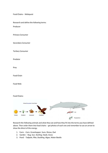 Food chains and webs webquest