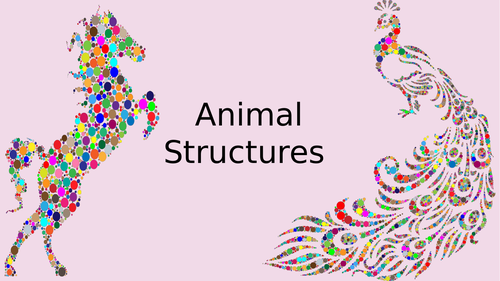Animal Structures - Labelling and Describing