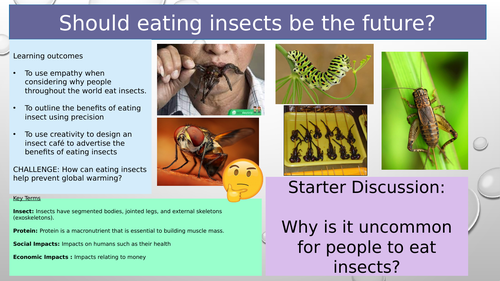Is eating insects the future? Online learning lesson