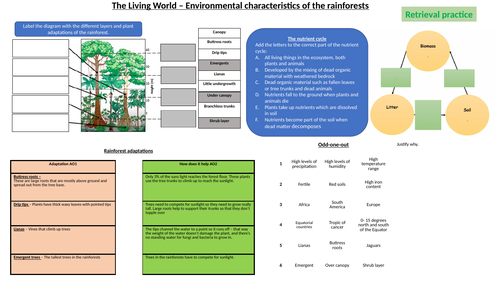 AQA Geography- Living World  - Rainforests retrieval practice
