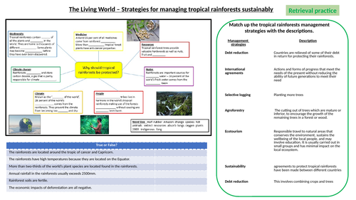 AQA Goegraphy - Living World - Managing rainforests retrieval practice