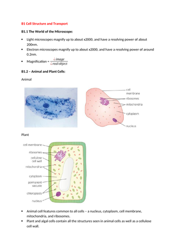 Biology Revision (B1 - B9)