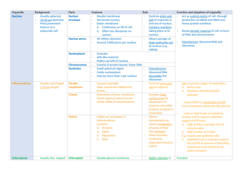 A/AS Level Biology- Eukaryotic cell structure, function & adaptations- comprehensive crib sheet