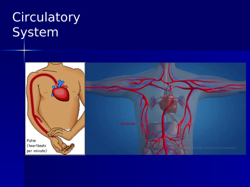 Circulatory System and Respiratory System Grade 10 Science Power Point