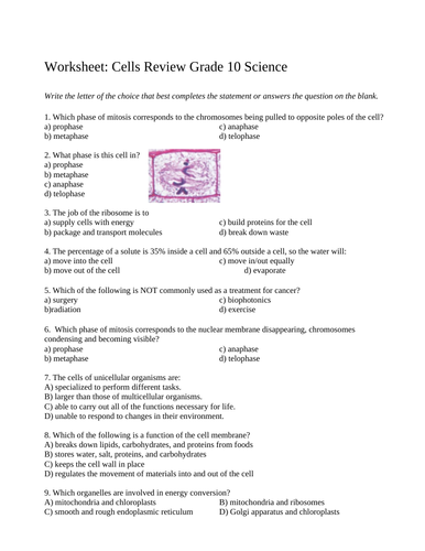 worksheets grade 10 science biology unit teaching resources