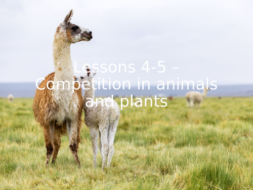 AQA GCSE Biology (9-1) B16.4-5 Competition in animals and plants - FULL LESSON