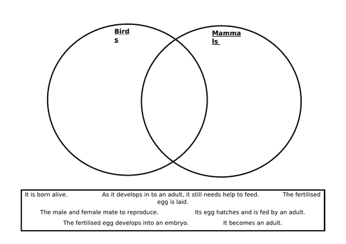 Year 5 Science Living Things and Habitats Worksheet Comparing Bird and Mammal Life Cycles