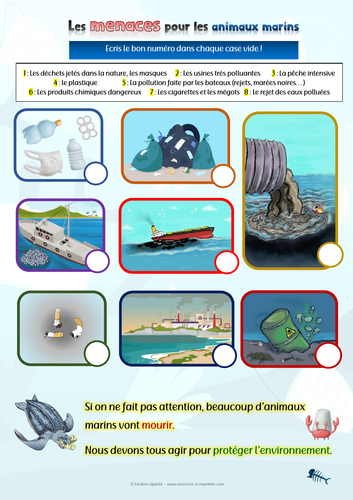 [French worksheet] Matching game: Threats to aquatic animals