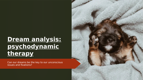 Psychodynamic Therapy For Mental Illness.