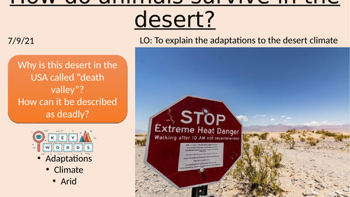 KS3 Desert animal adaptations