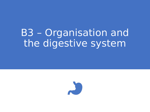 AQA GCSE Biology (9-1) B3 Organisation and the digestive system REVISION LESSON