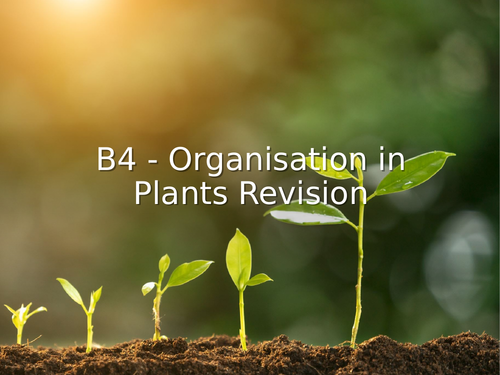 AQA GCSE Biology (9-1) B4 Organisation in plants REVISION LESSON