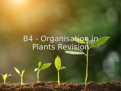 AQA GCSE Biology (9-1) B4 Organisation in plants REVISION LESSON ...