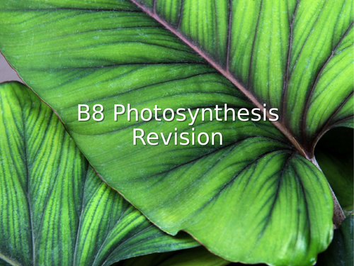 AQA GCSE Biology (9-1) B8 Photosynthesis REVISION LESSON