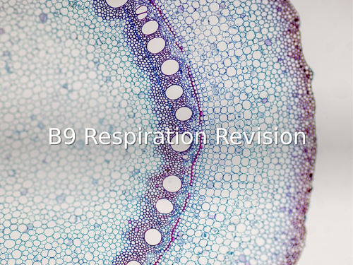 AQA GCSE Biology (9-1) B9 Respiration REVISION LESSON