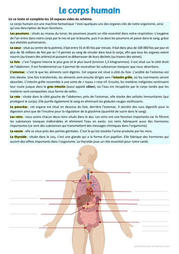 [French] Exercise on the human body: text to read and picture to complete