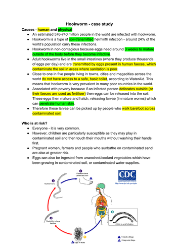 Hookworm info sheet