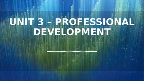 BTEC Unit 3 - Professional Development