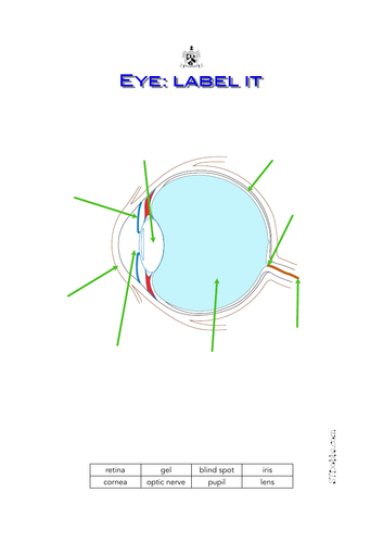 Eye : label it