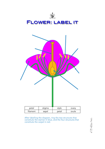 Flower: label it