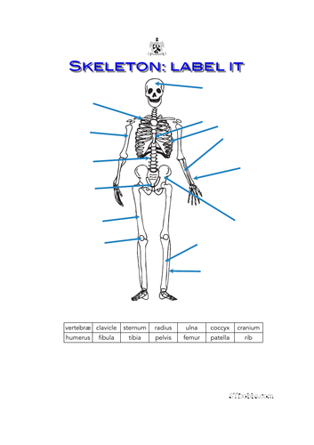Skeleton: label it