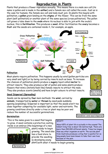 Reproduction in Plants