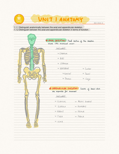 IB SEHS Unit 1 Anatomy (SL)