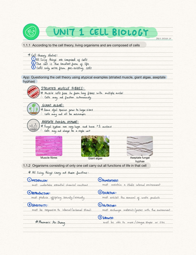 IB Biology Unit 1 Cell Biology (SL)