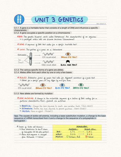 ib biology unit 3 practice test