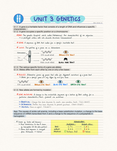 IB Biology Unit 3 Genetics (SL)