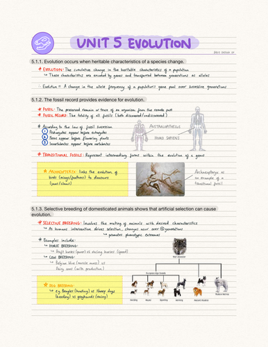 IB Biology Unit 5 Evolution (SL)