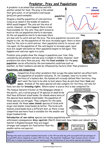 Predator, Prey and Populations