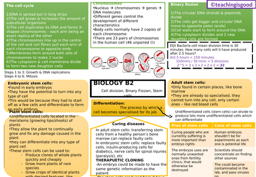 GCSE Biology Stem Cells (B2) Revision Mat