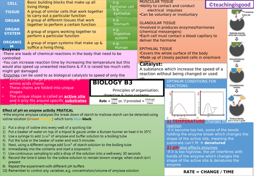 GCSE Biology Organisation Systems (B3) Revision Mat